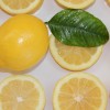 The Magic of Lemons – 15 Ways to Capture it
